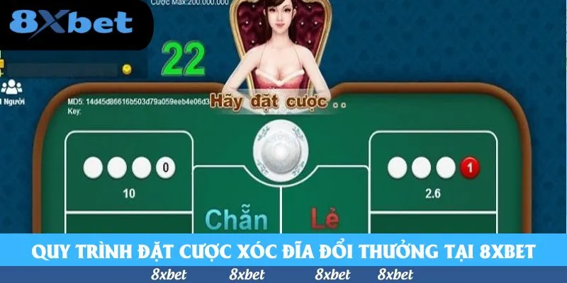Quy trình đặt cược xóc đĩa đổi thưởng tại 8xbet